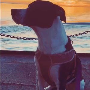 Meet your Posher, Hailey